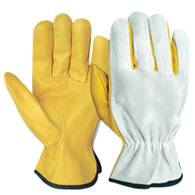 Driving Gloves